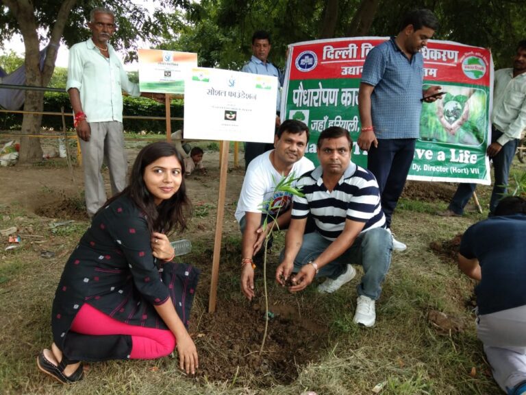 Program 4: Independence Day Tree Plantation Drive